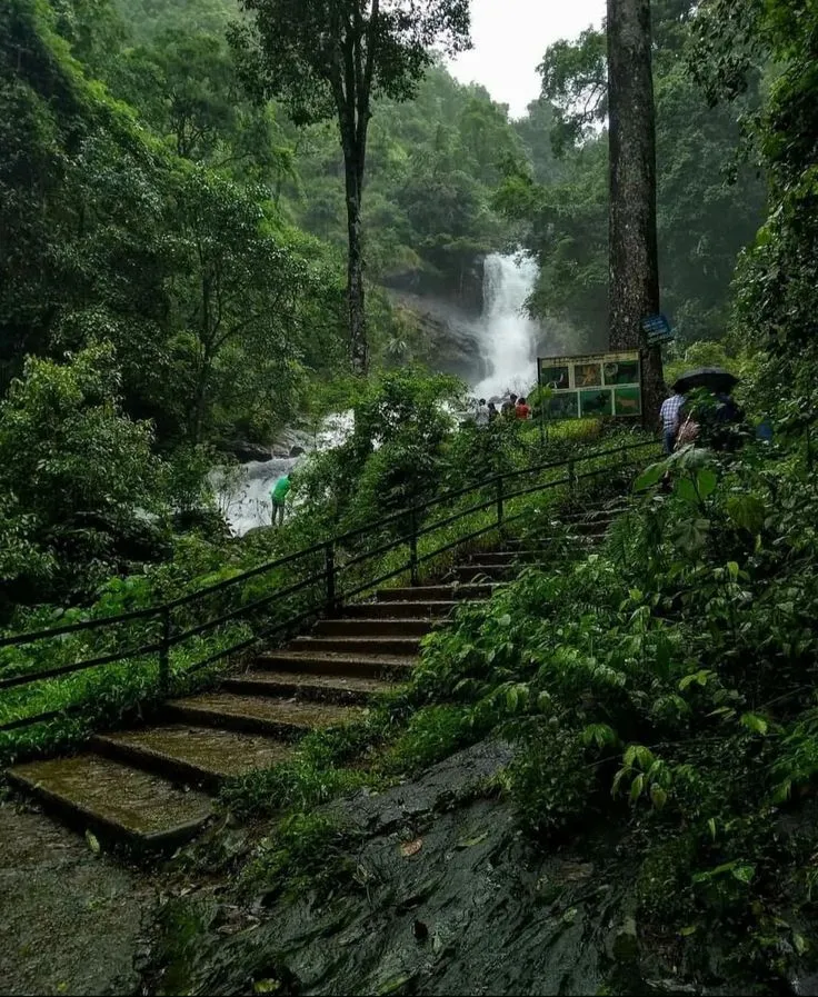 Coorg