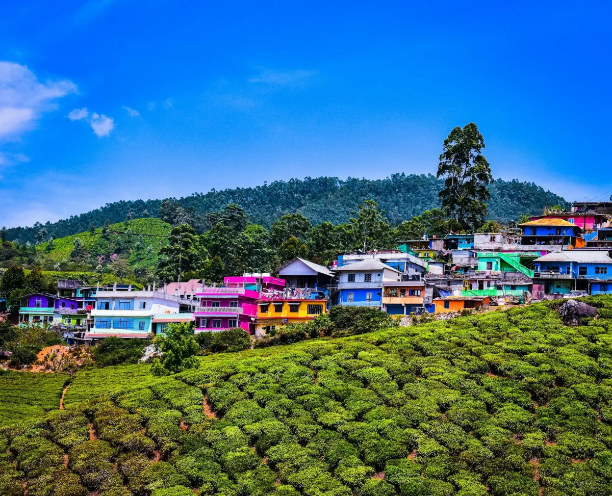 Mysore to Ooty & Coonoor: A Hill Station Escape You’ll Never Forget